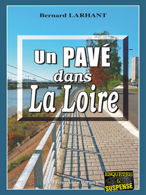 cover image of Un Pavé dans la Loire
